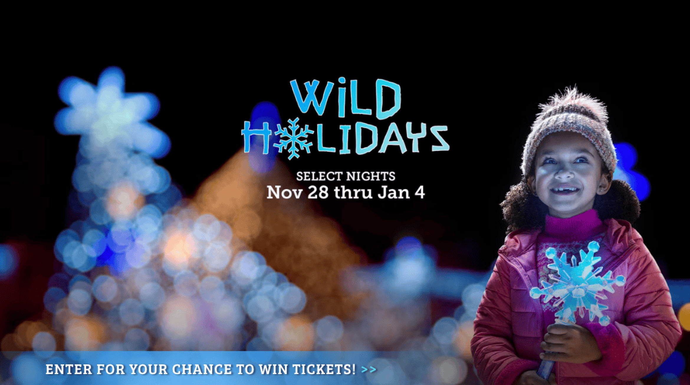 Promo WildHolidays