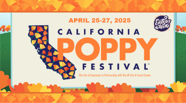 Promo PoppyFest 2025